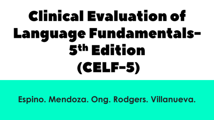 Celf 5 core language subtests