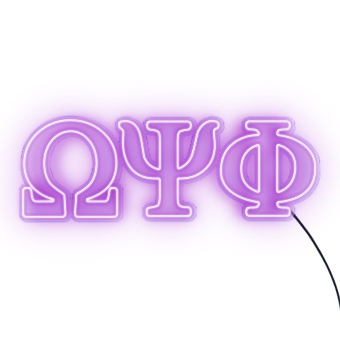 Omega psi phi msp process