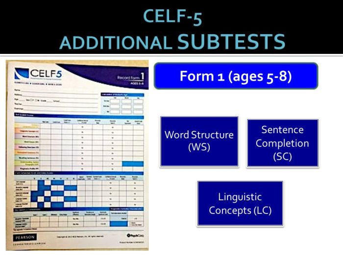 Celf evaluation fundamentals language pearltrees form clinical edition