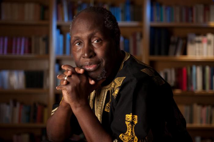 Summary of the return by ngugi wa thiong'o