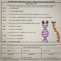 Dna and rna worksheet answers pdf