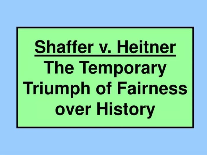 Shaffer v heitner case brief