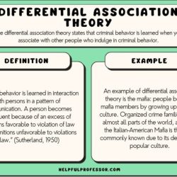 Theories emphasize the role of learning in crime causation